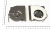 Вентилятор (кулер) для ноутбука Asus N61, N61V, n61w, N61J, N61JV, N61JQ, N61VG, K52